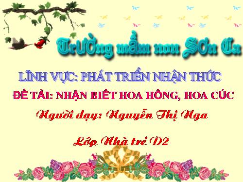 PTNT-Nhận biết Hoa hồng, hoa cúc_N.T.Nga D2