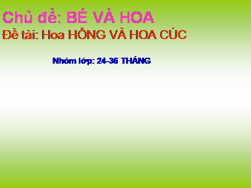 hoa hong va hoa cuc