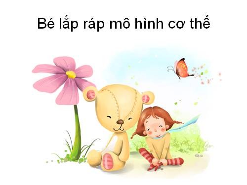 lắp ráp cơ thể