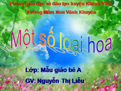 Một số loại hoa - Mẫu Giáo Bé