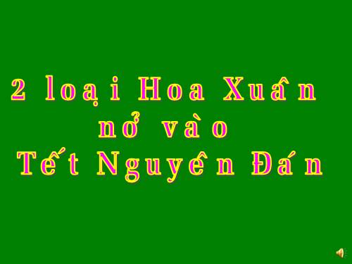 HOA MÙA XUÂN