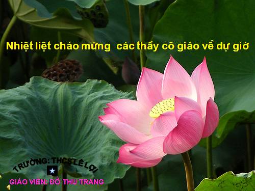 Mẫu HÌNH ĐỘNG DỄ THƯƠNG