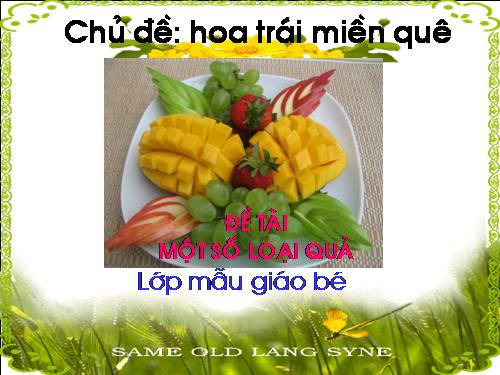 Một số loại quả