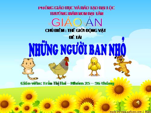 NBTN-CÁ VÀNG BƠI