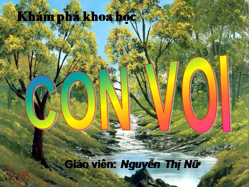 NBTN: Con voi