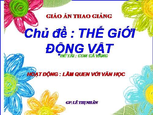 LQVH: Con cá vàng