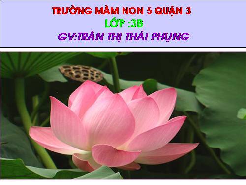 khám phá thiên nhiên