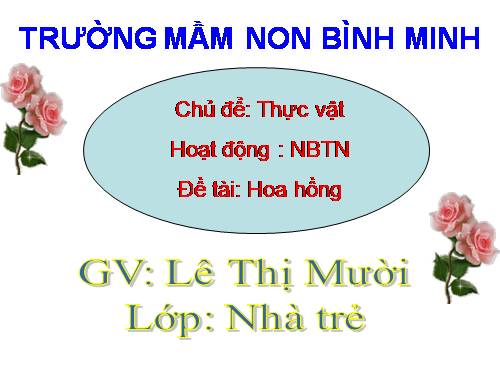 bai giang DT nha tre