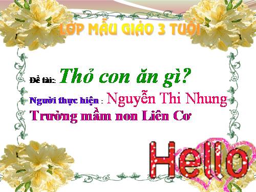 thỏ con ăn gì