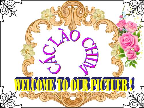 các loài chim