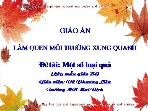 MTXQ: Một số loại quả