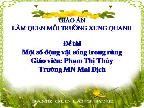 Một số động vật  trong rừng