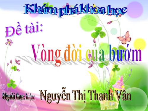 Vòng đời của Bướm