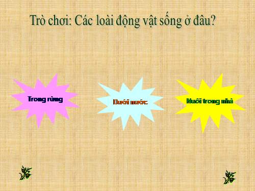 Trò chơi Các con vật sống ở đâu