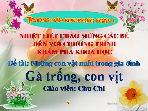 Con vật nuôi trong gia đinh