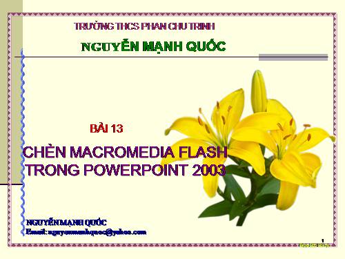 Chèn Flash trong PowerPoint 2003