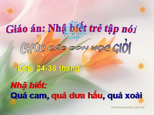 Nhận biết một số quả