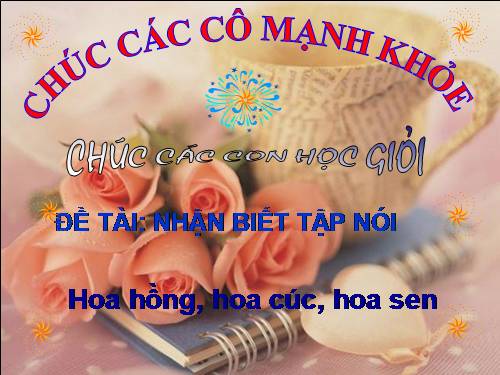 Cac loai hoa