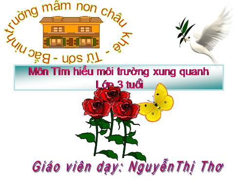 Tìm hiểu môi trường xung qunh