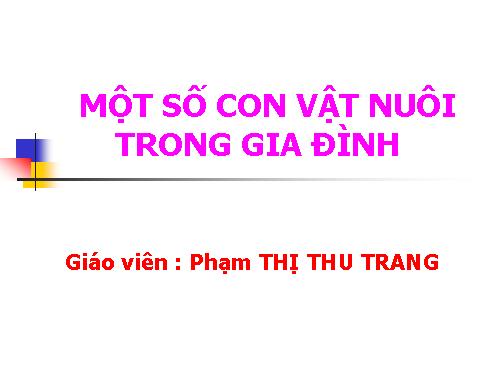 MTXQ CON VẬT NUÔI