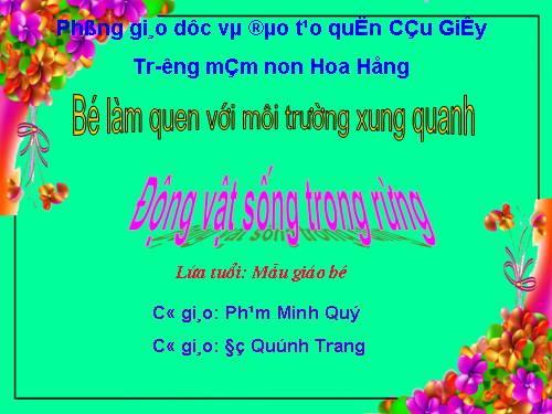 Động vật sống trong rùng