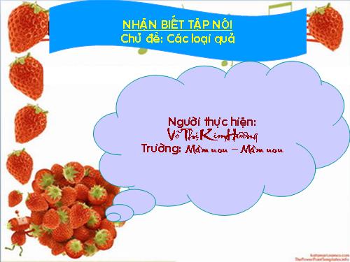 NBTN Các loại quả