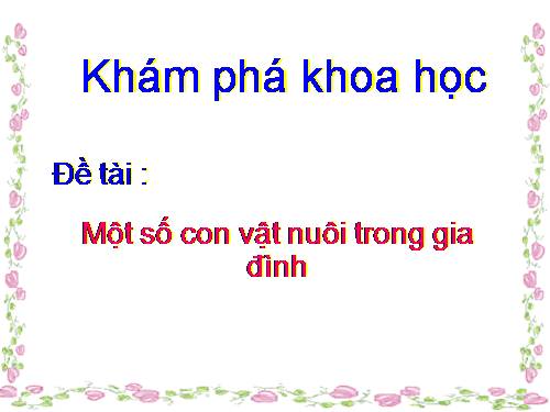 hoạt động điểm danh