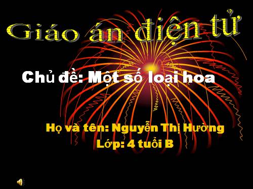 khám phá một số loại hoa