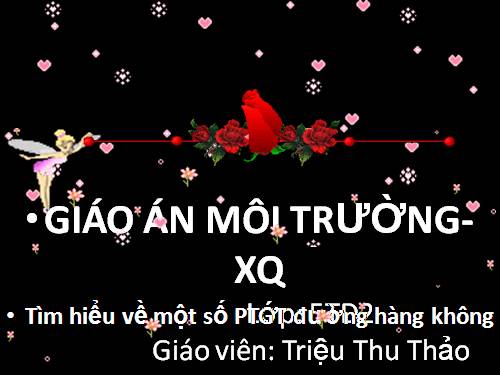 Tìm hiểu một số PTGT đường hàng không