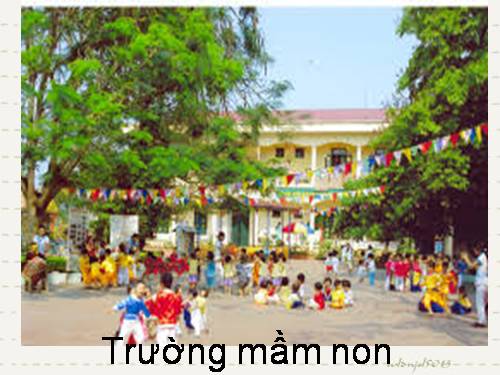 trường mầm non