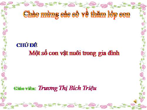 Vật Nuôi Trong Gia Đình