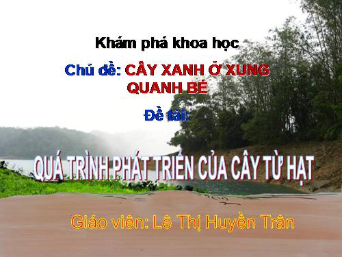 QUÁ TRÌNH PHÁT TRIỂN CỦA CÂY TỪ HẠT