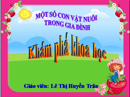 NHỮNG VẬT NUÔI TRONG GIA ĐÌNH