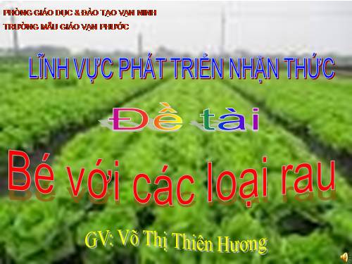 MỘT SỐ LOẠI RAU