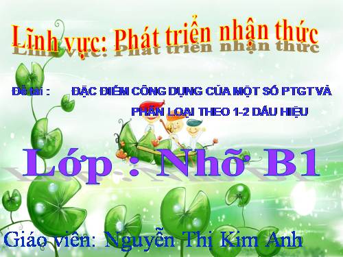 PHÂN LOẠI GIAO THÔNG