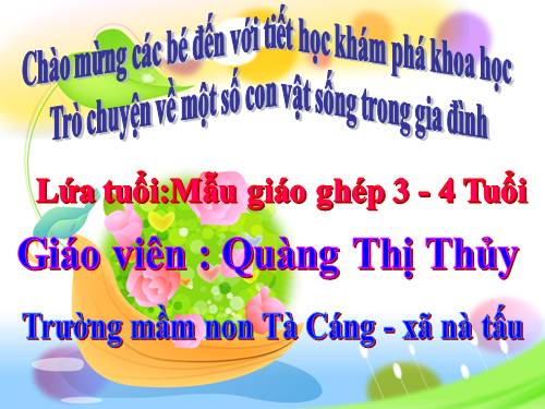 một số động vật trong gia đình