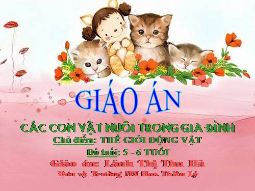 tìm hiểu động vật nuôi trong gia đình