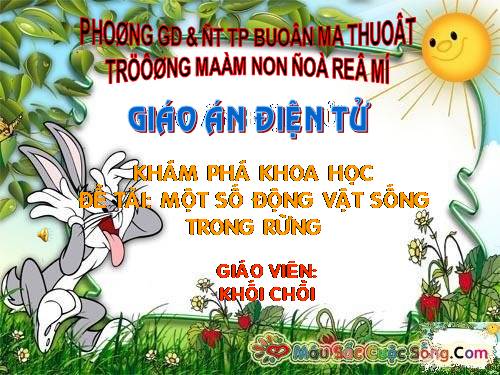 DONG VAT SONG TRONG RUNG