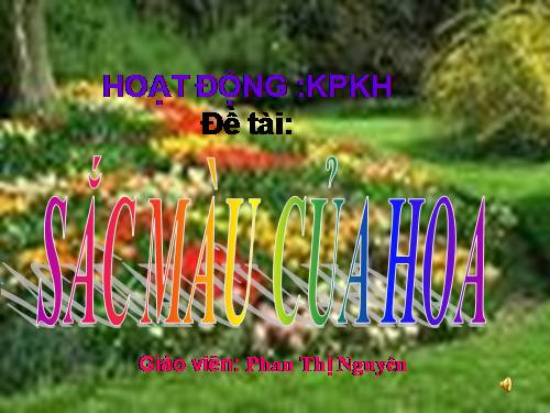 KPKH: Một số loài hoa