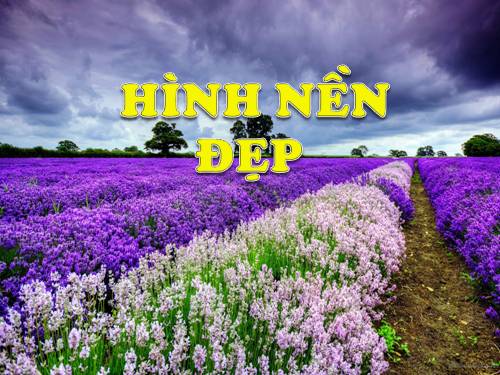 HINH NEN DEP