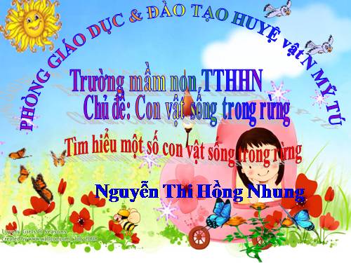 CÁC CON VẬT SỐNG TRONG RỪNG