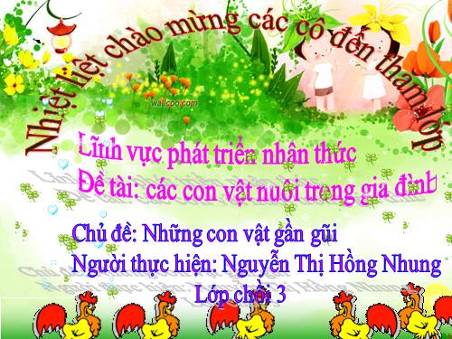 GIÁO ÁN ĐỘNG VẬT TRỌN BỘ