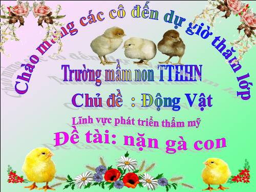 NẶN GÀ CON