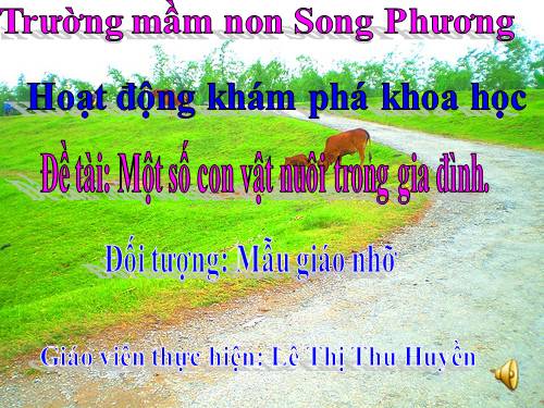 vat nuoi trong gia dinh