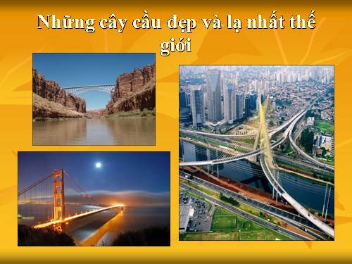 những cây cầu lạ nhất thế giới