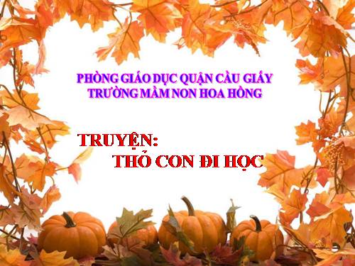 Truyện Thỏ con đi học