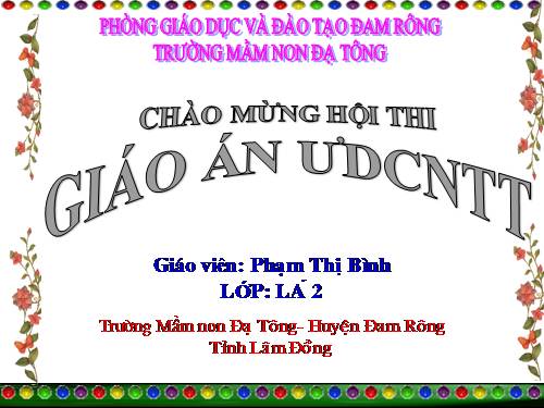 tìm hiểu về một số loại côn trùng