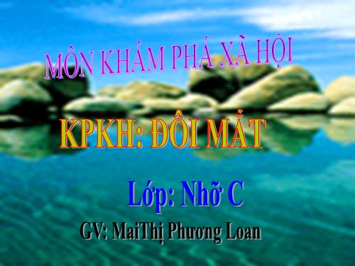 Khám phá xã hội