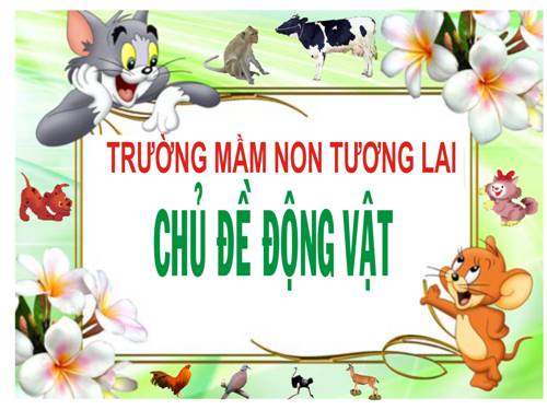 Chu de dong vat