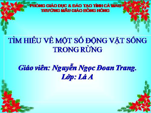 Tìm hiểu&kp: ĐỘNG VẬT SỐNG TRONG RỪNG